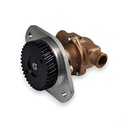 Cummins Wassserpumpe