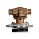 Cummins Wassserpumpe