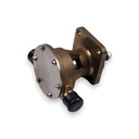 Komplette Wasserpumpe