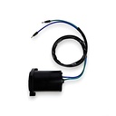Powertrim Motor