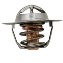 Thermostat 160º