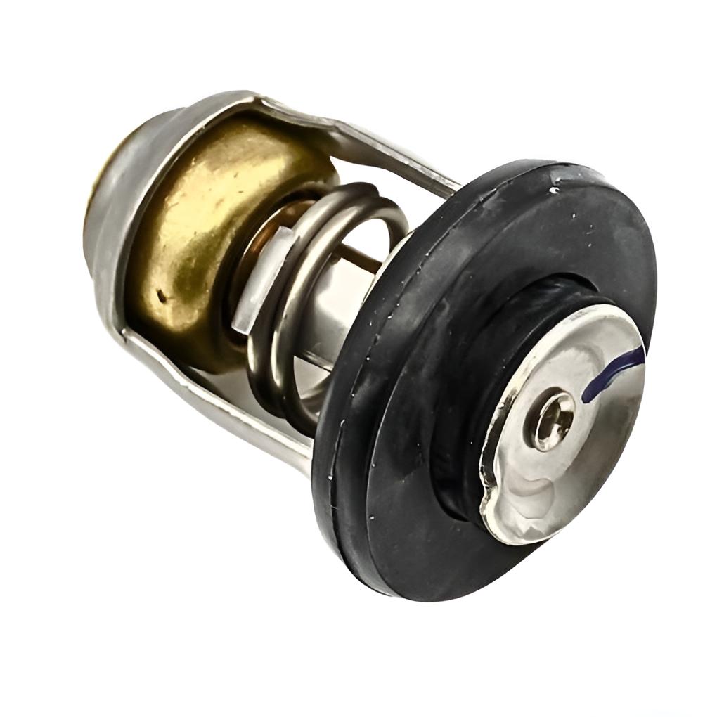 Thermostat 60º