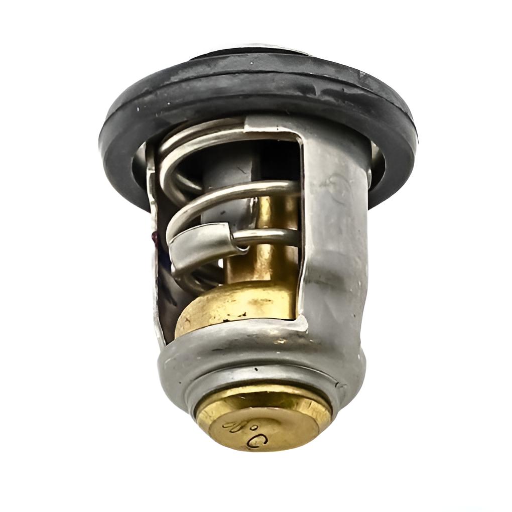 Thermostat 60º