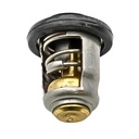Thermostat 60º