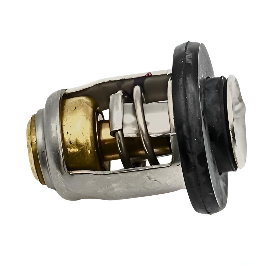 Thermostat 60º