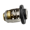 Thermostat 60º