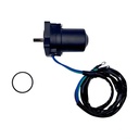 Trim Motor