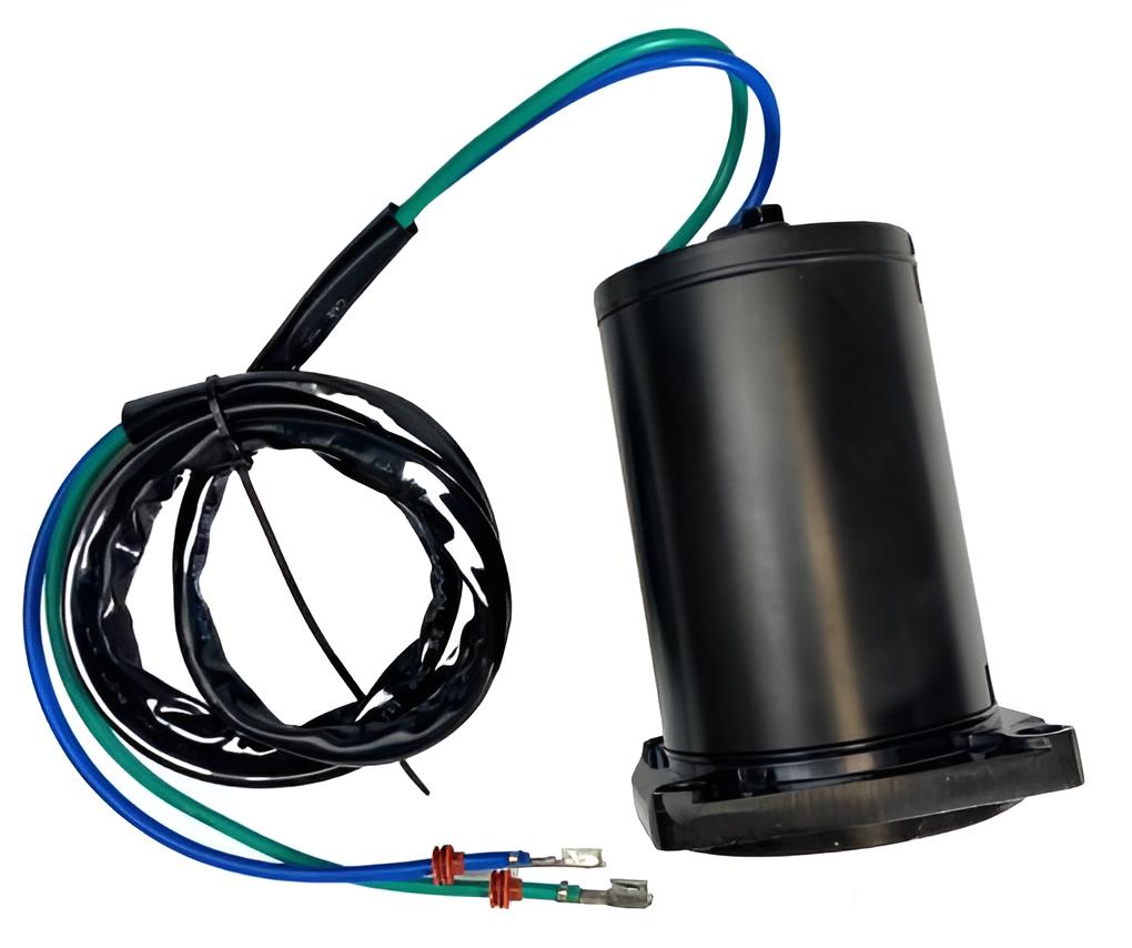 Trim Motor