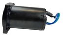 Trim Motor