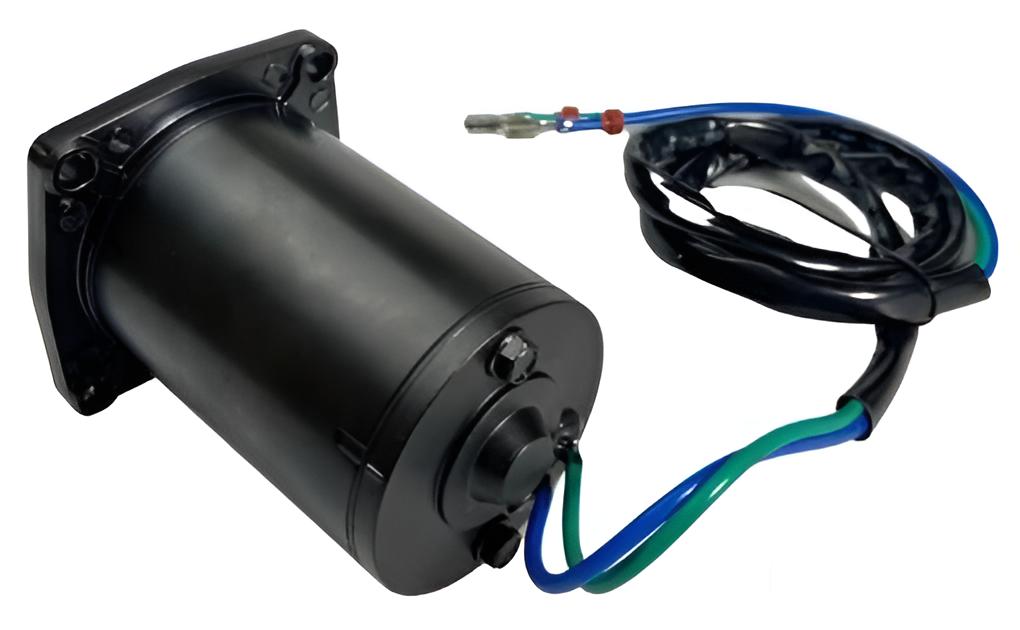 Trim Motor E-tec