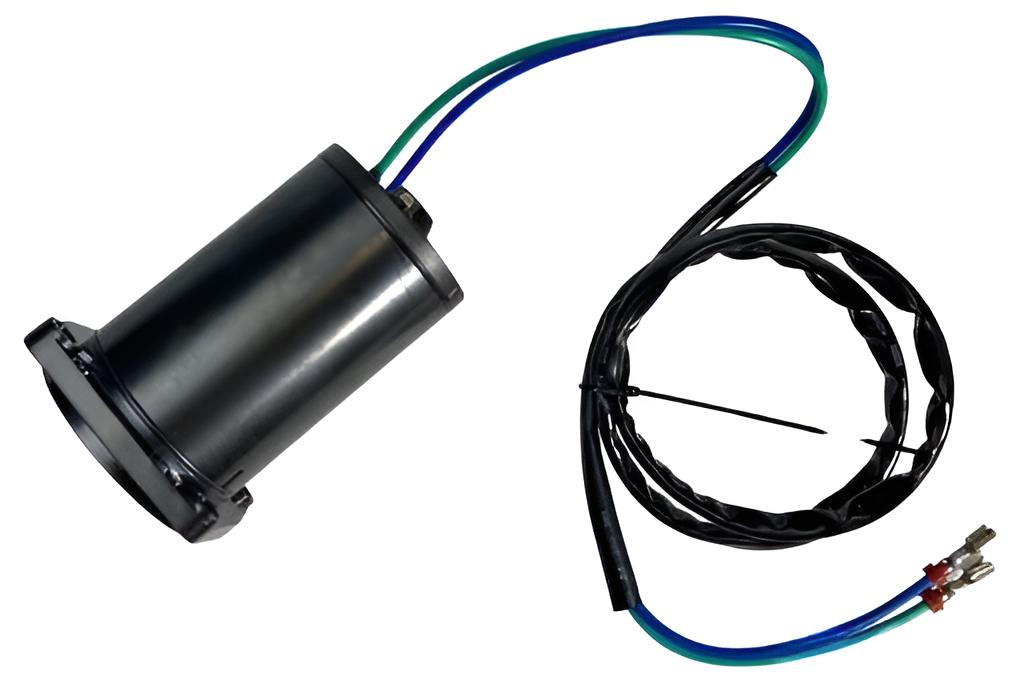 Trim Motor E-tec