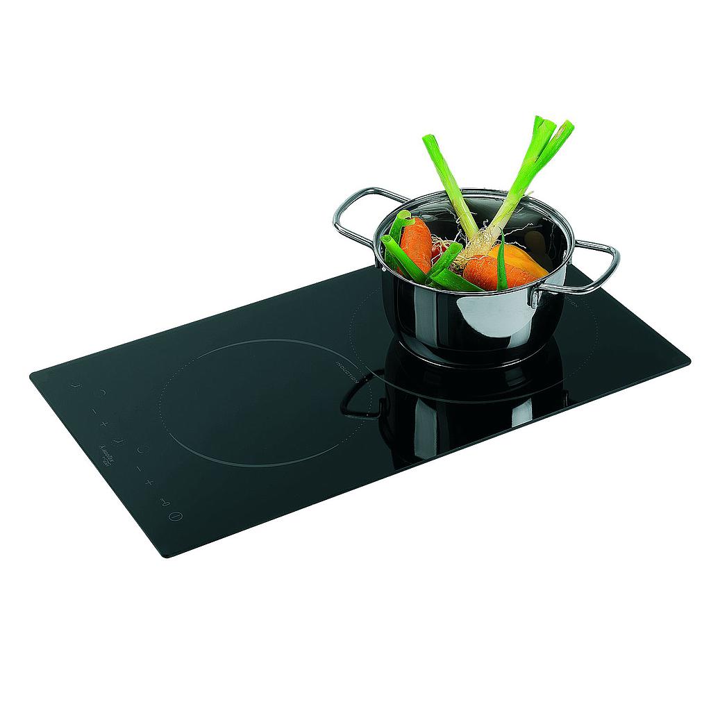 Induktions Kochplatte  505x300x60mm