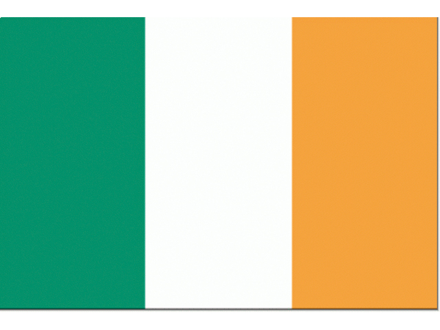 Flagge Irland 30x45cm