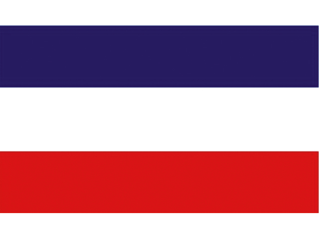 Flagge Schleswig-Holstei 20x30cm