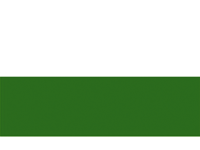 Flagge Sachsen 30x45cm