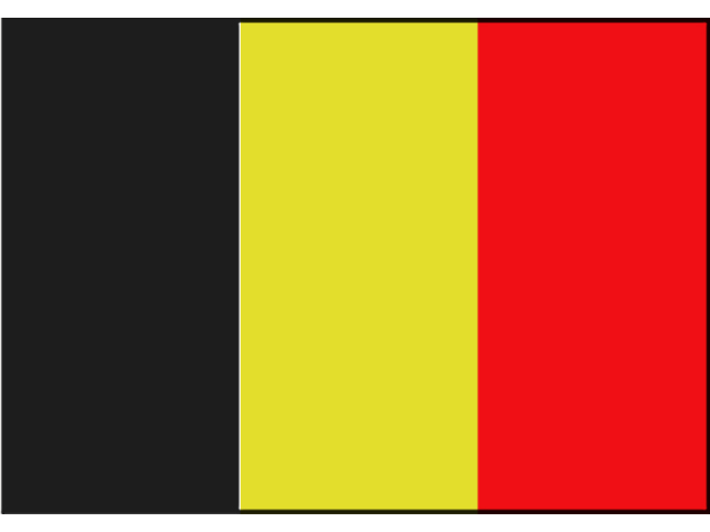 Flagge Belgien 20x30cm