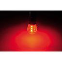 Talamex LED Leuchtmittel 15xSMD-BAY15d 10-30V 0,7 W Rot