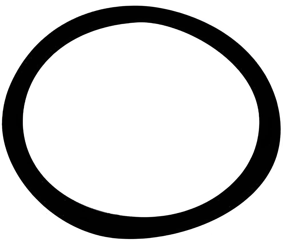 O-ring