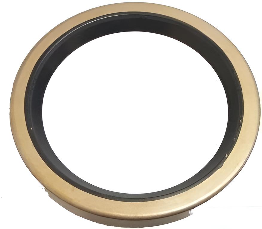 Dichtring