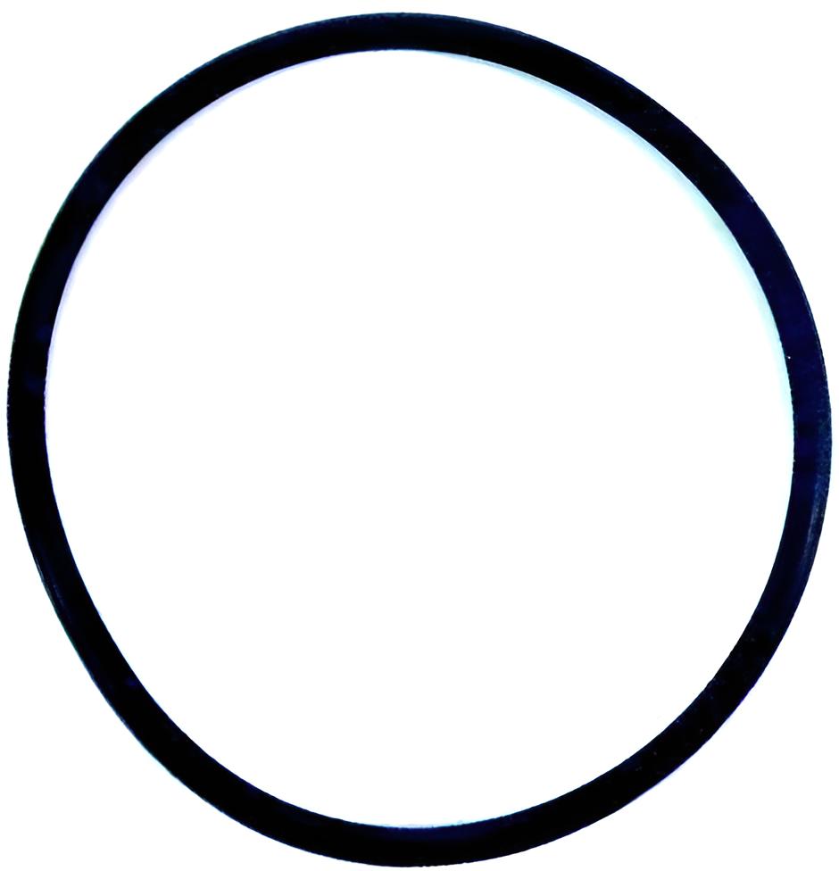 O-ring