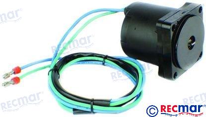 TRIM MOTOR