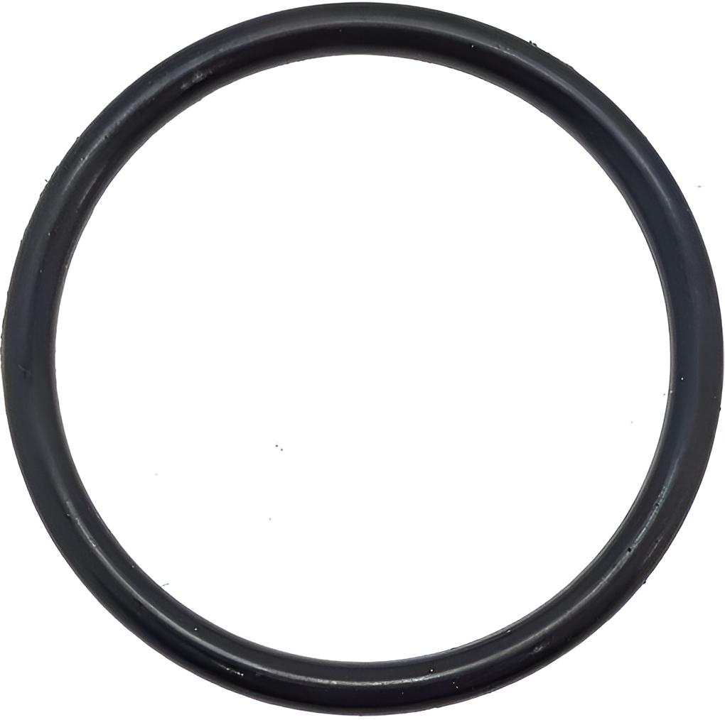 O-ring