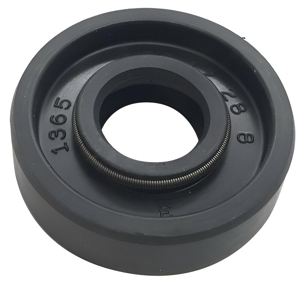 Dichtring