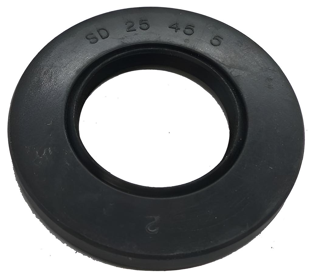 Dichtring