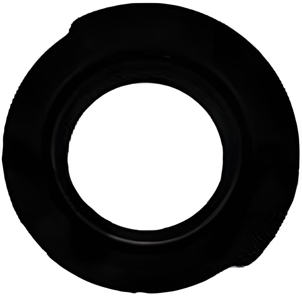 Dichtring