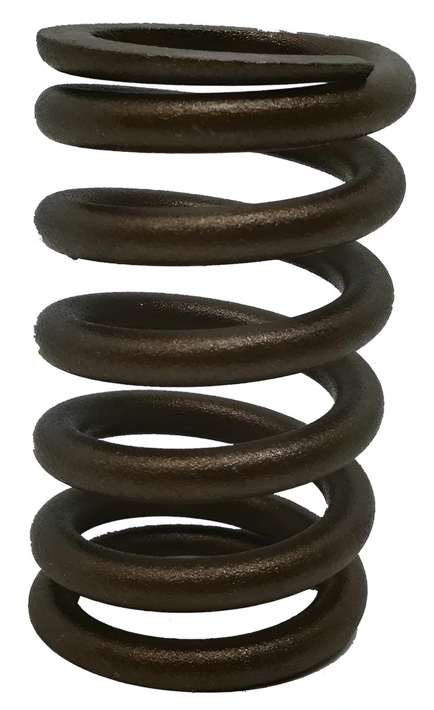 Ventilfeder 262,305,350