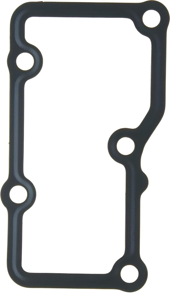 Water Pump Cover Gasket