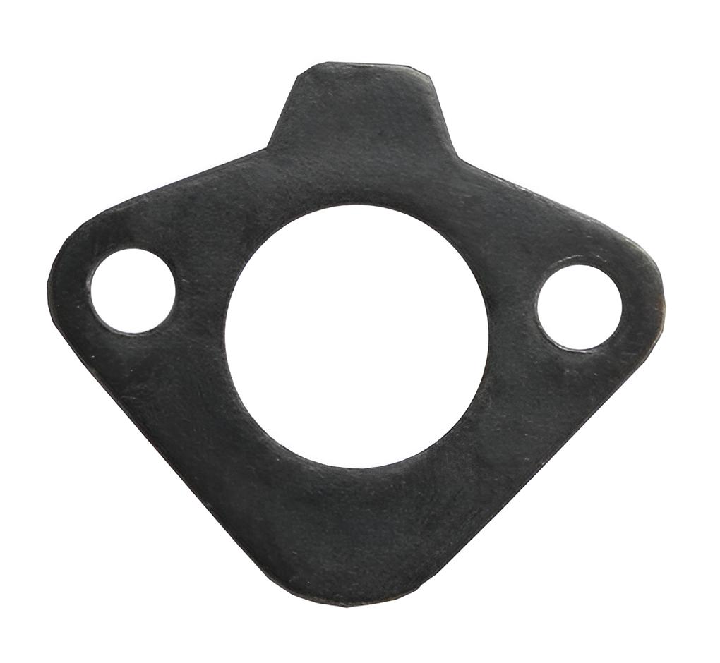 Kraftstoffpumpen Dichtung