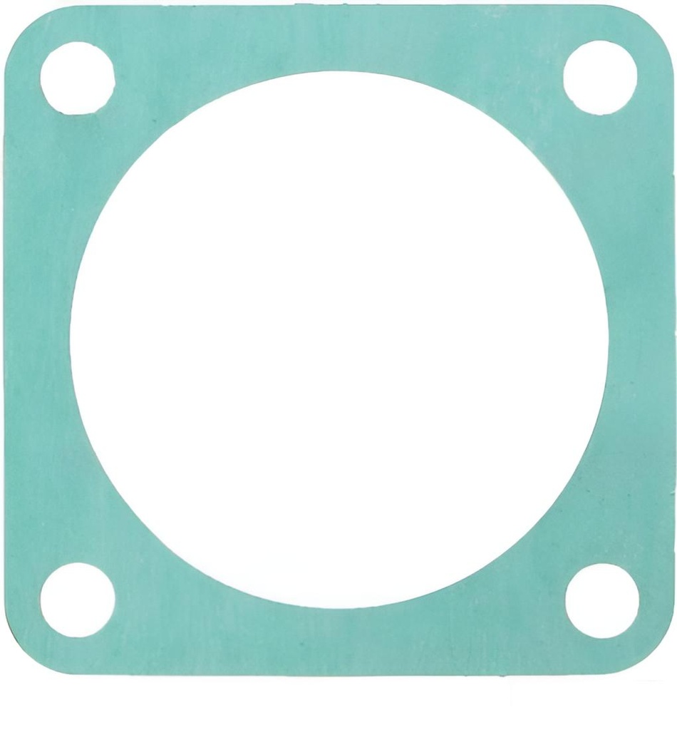 Kraftstoffpumpen Dichtung