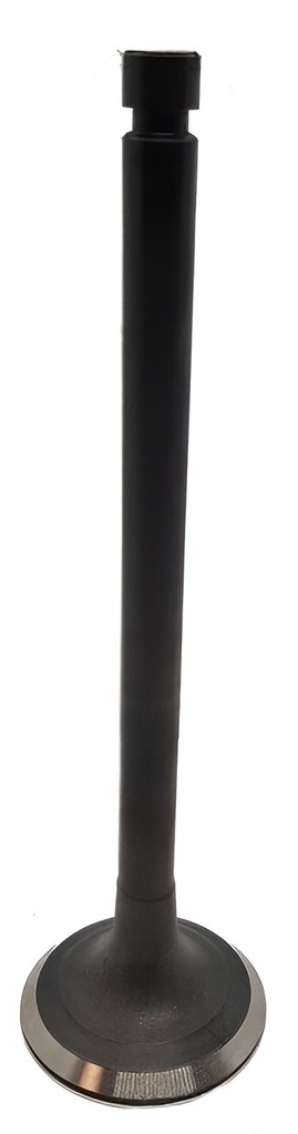 Auslassventil passend für Yanmar 6GH