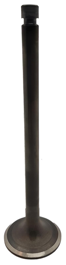 Einlassventil passend für Yanmar 6GH