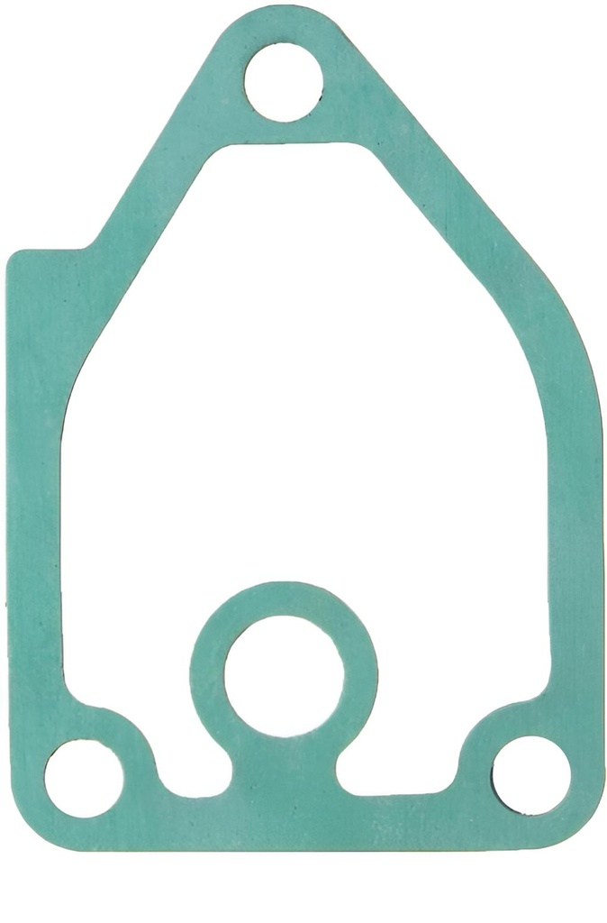 Wasserpumpe Dichtung