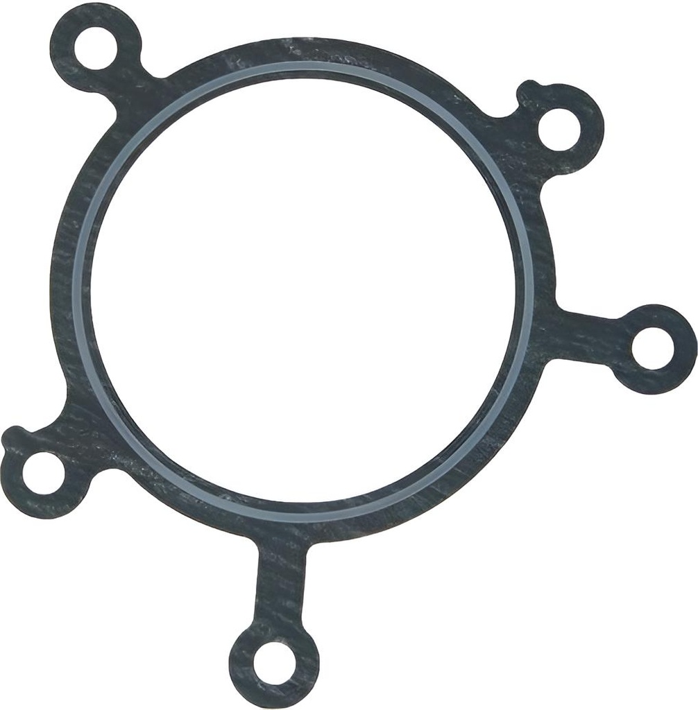 Dichtung Drosselklappengehäuse