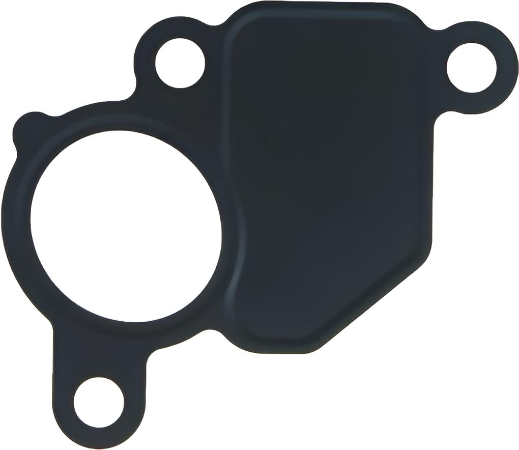 Dichtung Ansaugbrücke