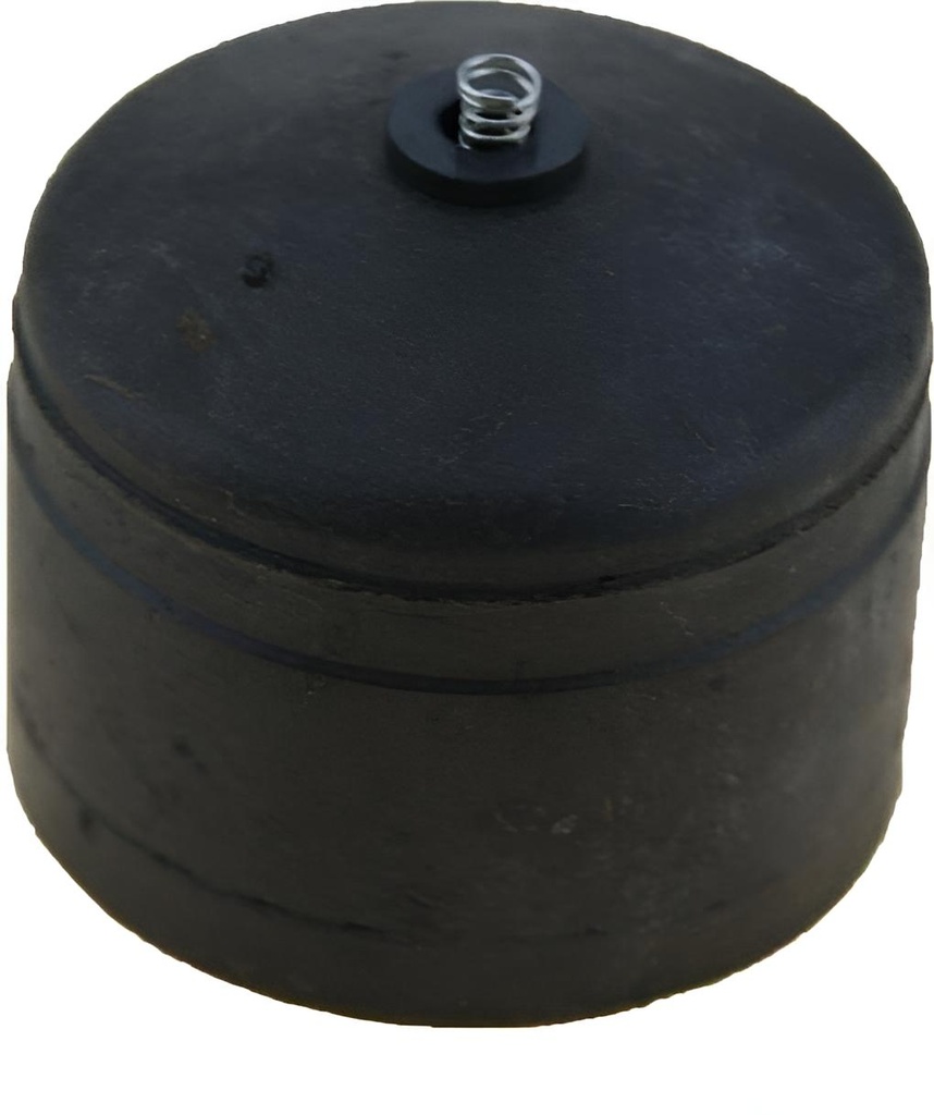 Schwimmer