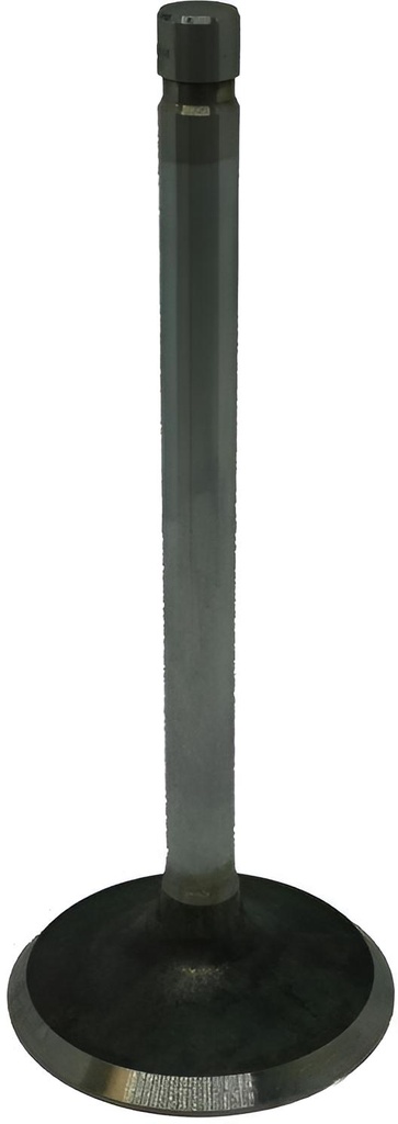 Einlassventil 350