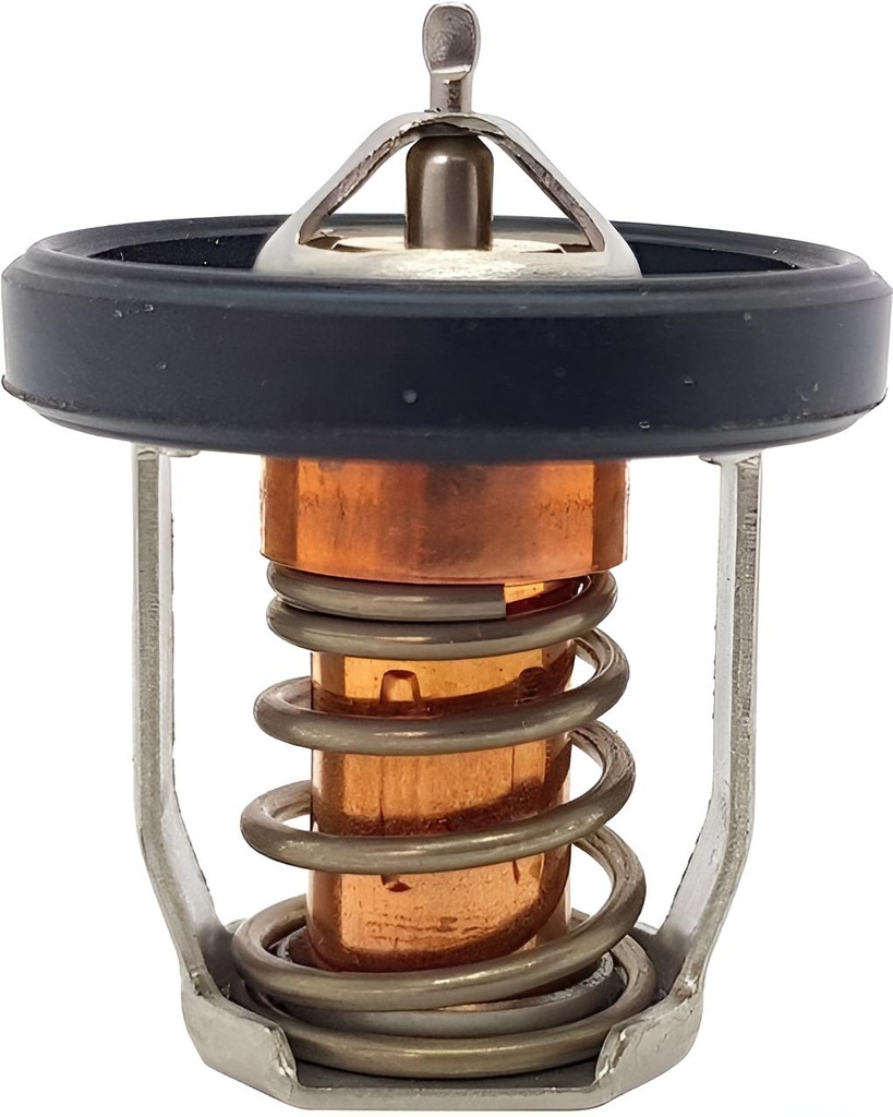 Thermostat 50ºc