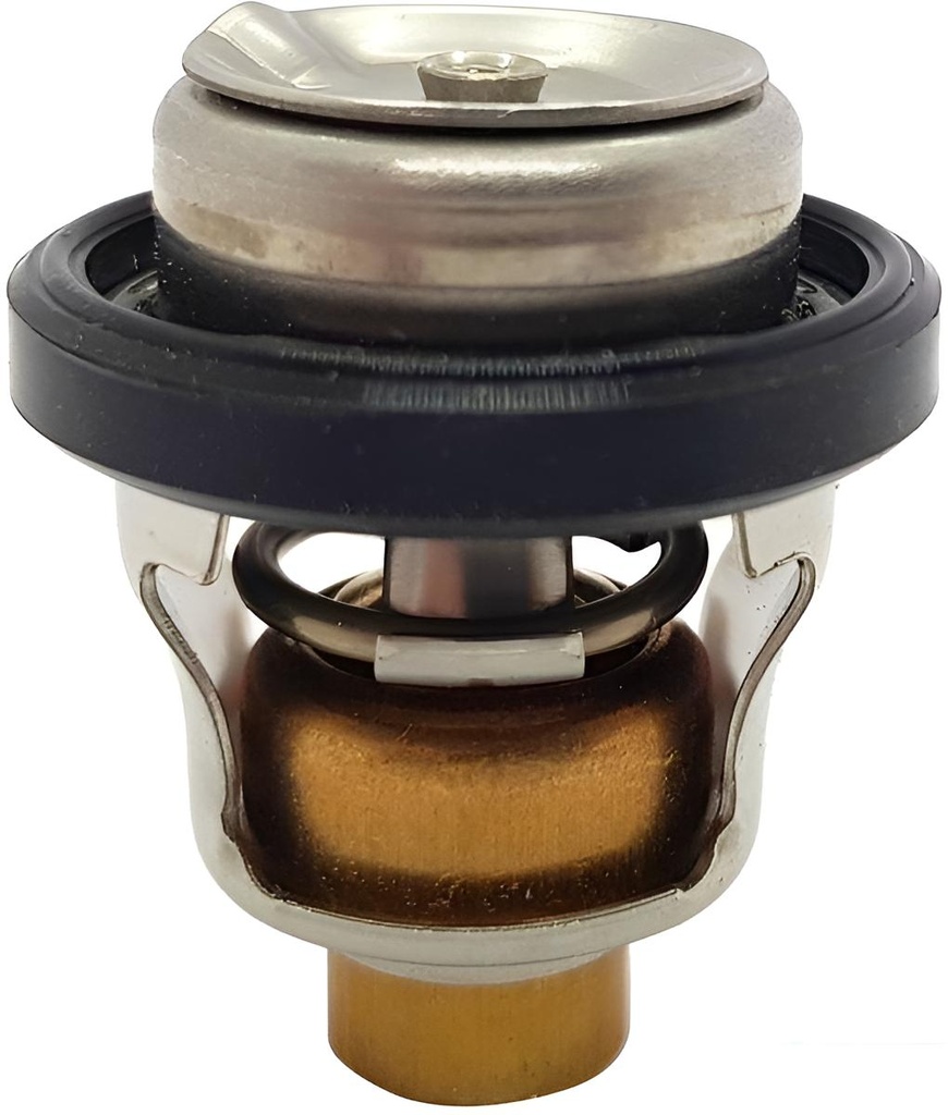 Thermostat 50ºc