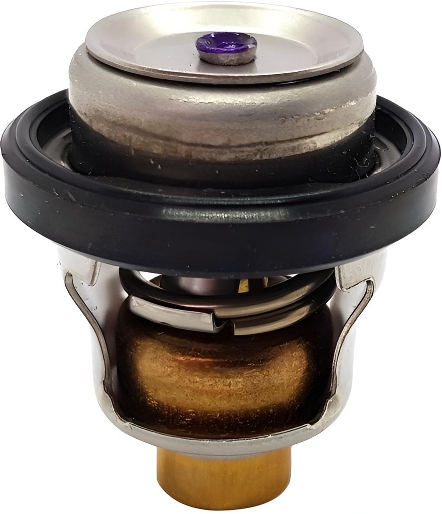Thermostat 72ºc