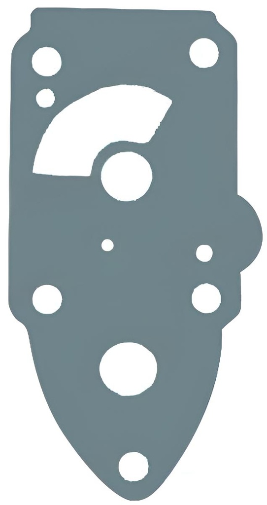 Dichtung Wasserpumpe Suzuki