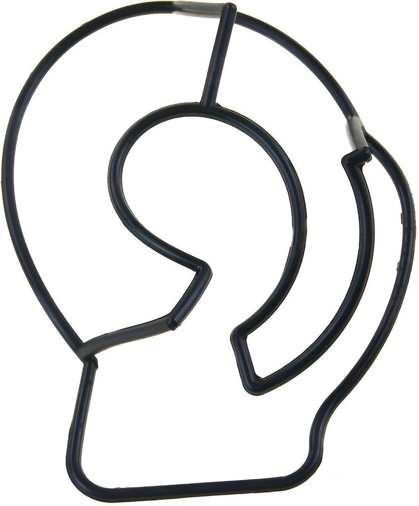 O-ring