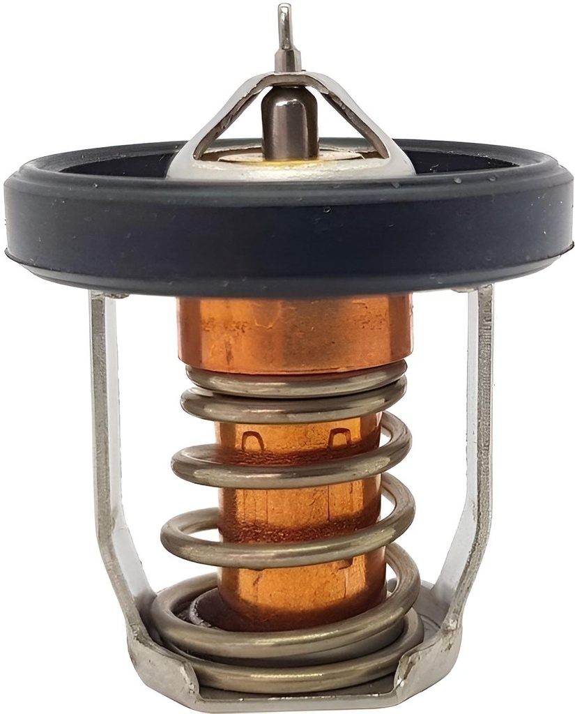 Thermostat 60ºc