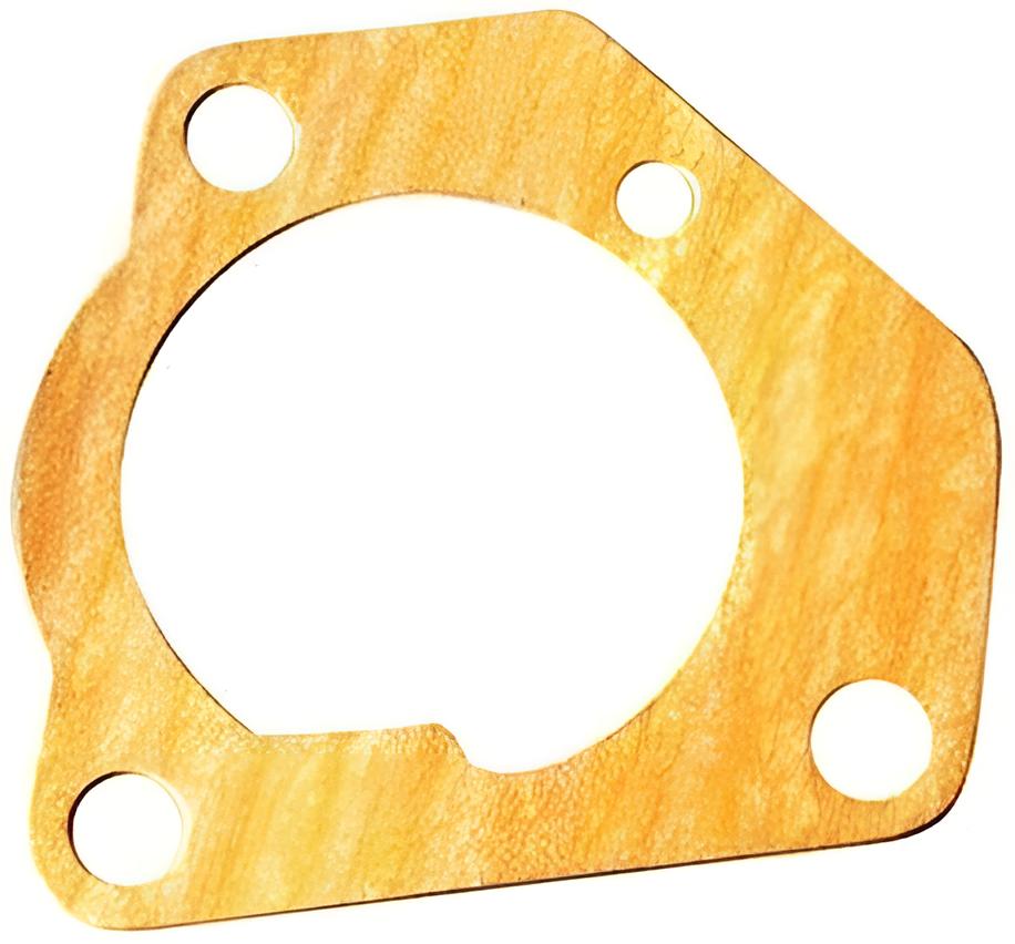 Dichtung Wasserpumpe Suzuki