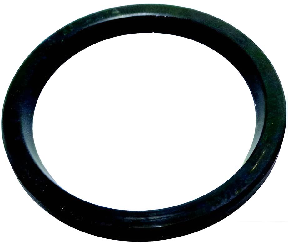 Dichtring