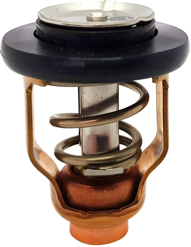 Thermostat 71ºc