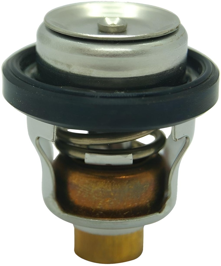 Thermostat 60ºc